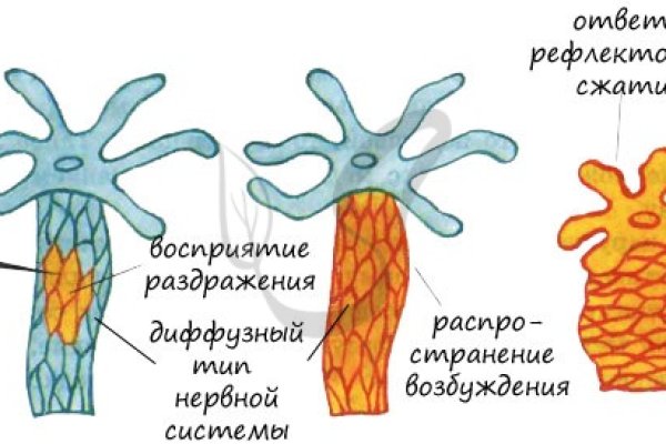 Kraken офф сайт