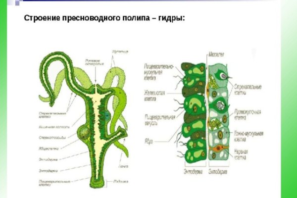 Ссылка на сайт kraken onion kraken6.at kraken7.at kraken8.at