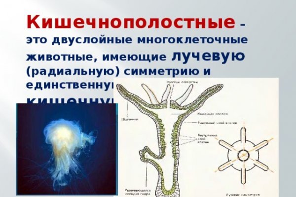 Как загрузить фото на сайт кракен